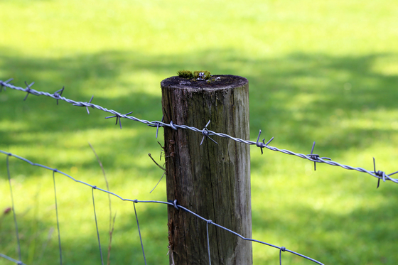 Iron 50m Long Woven Wire Cattle Fencing No Rust for farm