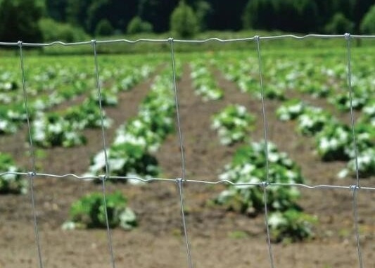 Farm Hinge Joint 1m Height Cattle Field Fence For Sheep