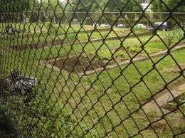 1.8m Height High Security 2.5mm Steel Chain Link Fencing Galvanized Round Post