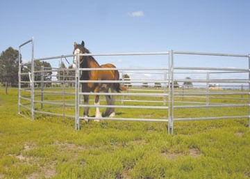 Rot Proof Heavy Duty Cattle Panel 40x40mm Square Galvanized Tube Livestock