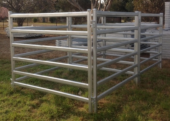 1.8m Height Galvanized Tube Heavy Duty Cattle Panel