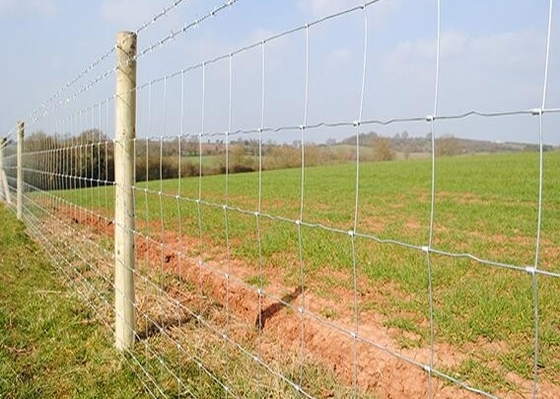 2.4m Hot Dipped Galvanized Steel Cattle Fencing Security Field Agricultural