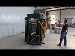 Agolpamiento de capa del ganado del polvo